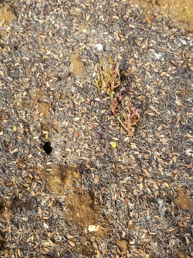 20220325_080819_copy_2268x3024