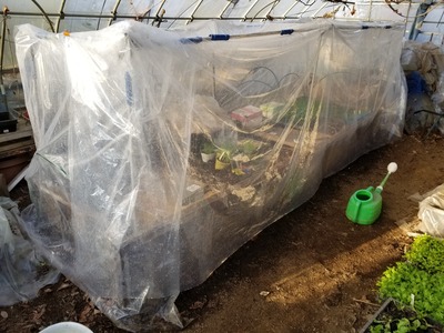 20200124_080836-3024x2268