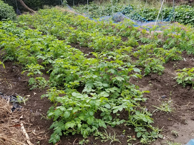 20201019_082730_copy_2268x1701