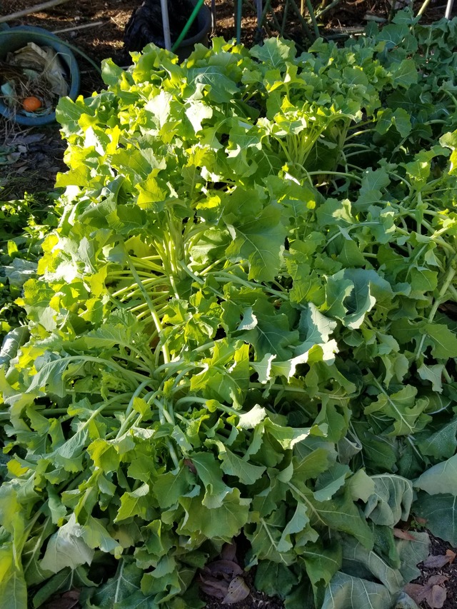 20230104_084420_copy_2268x3024