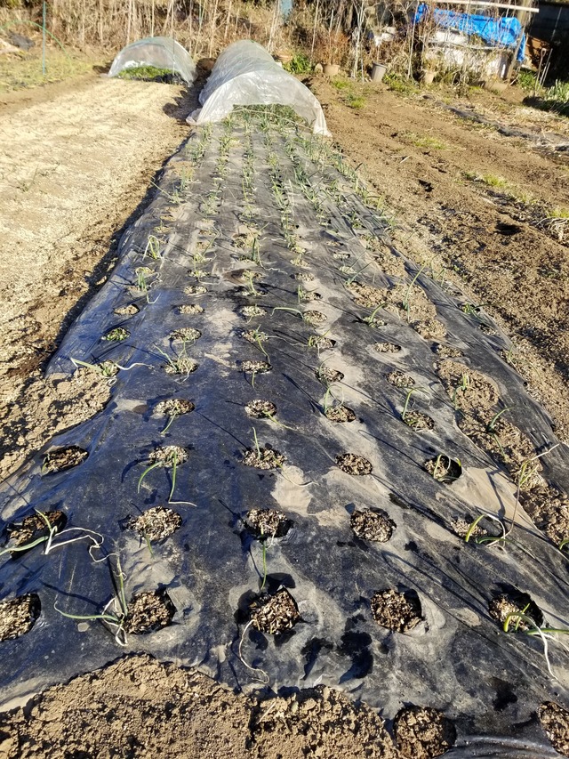 20220120_084307_copy_2268x3024