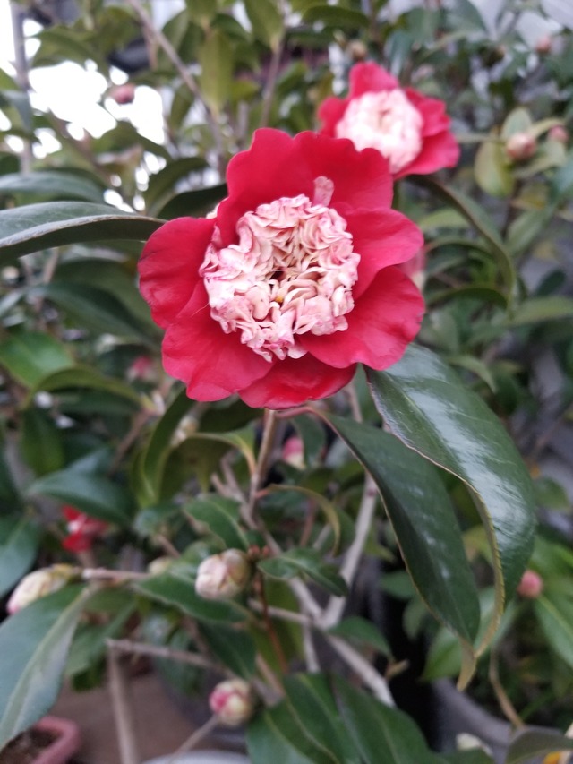 20220316_174518_copy_2268x3024