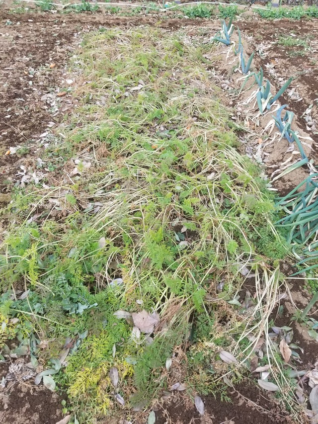 20240128_093901_copy_1512x2016