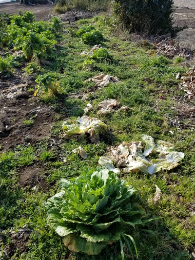 20200220_085351-2268x3024