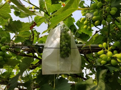 20190617_090101-2160x1620