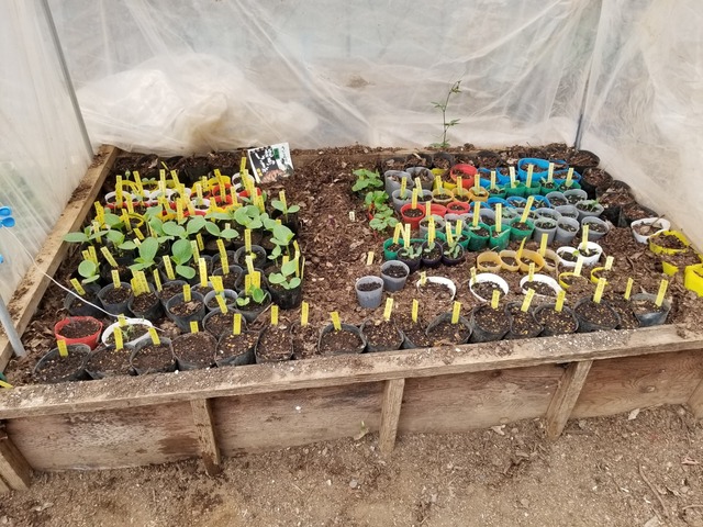 20190408_080842-1600x1200