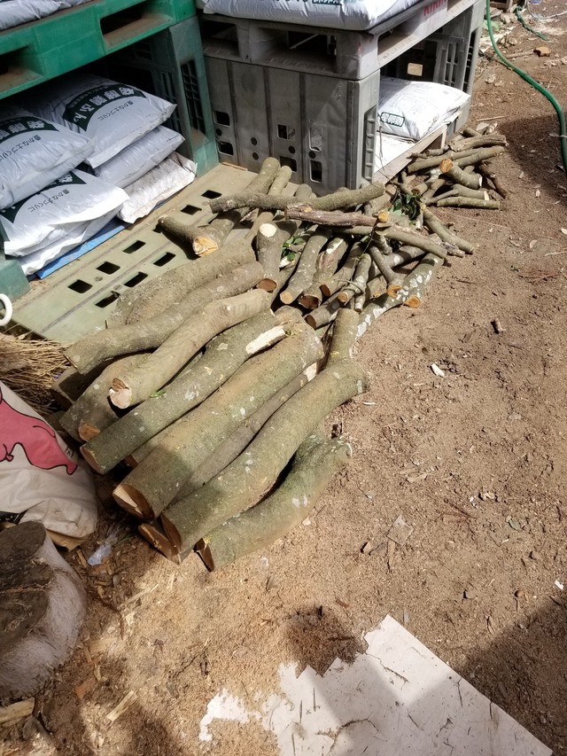 20230528_091416_copy_1512x2016