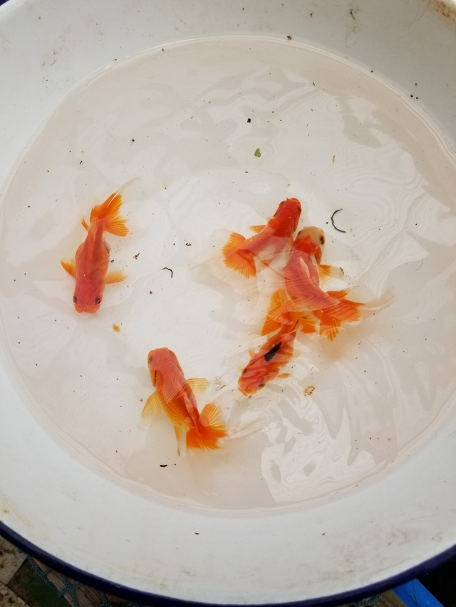 20230506_101854_copy_1512x2016