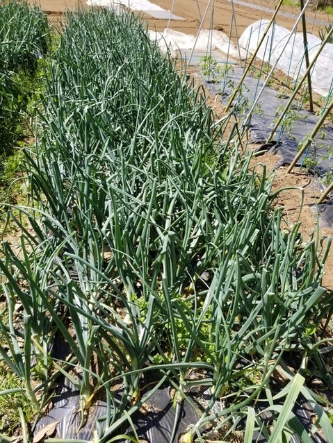 20190509_092306-1620x2160