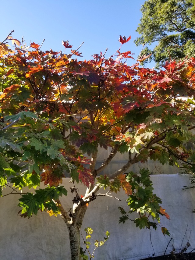 20211029_083501_copy_2268x3024
