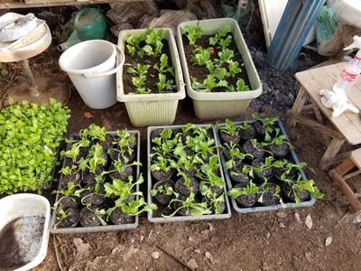 20200124_080738-3024x2268