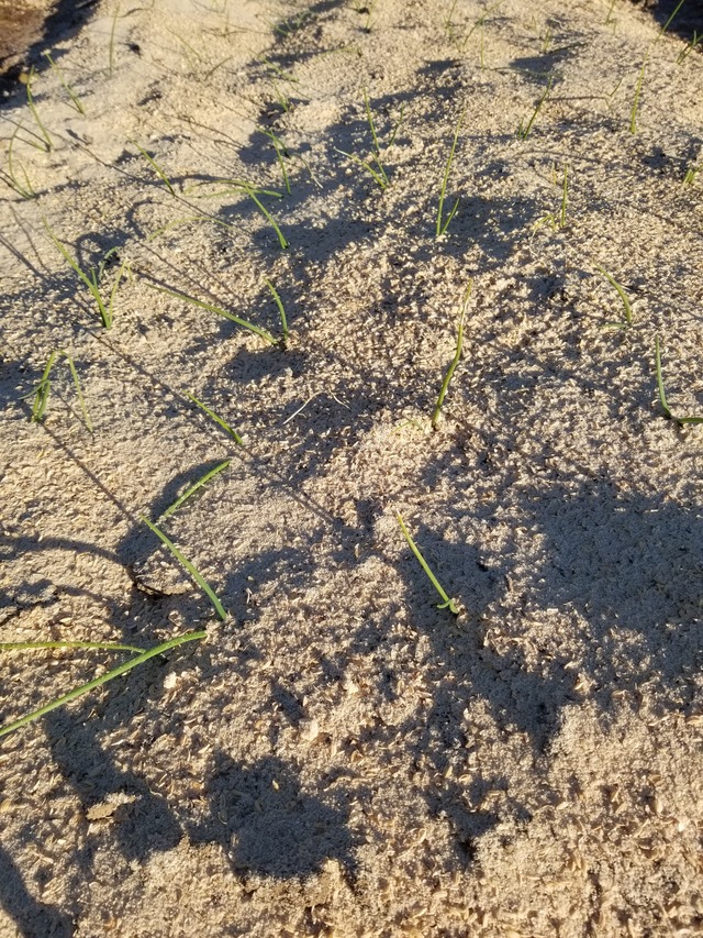 20211227_080006_copy_2268x3024