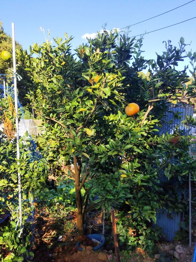 IMG_20231108_141006_DRO_copy_1512x2016