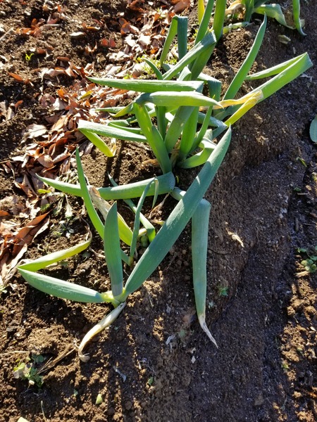 20191229_090901-2268x3024