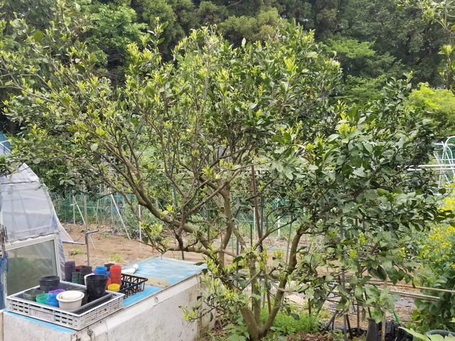 20230422_082505_copy_2016x1512