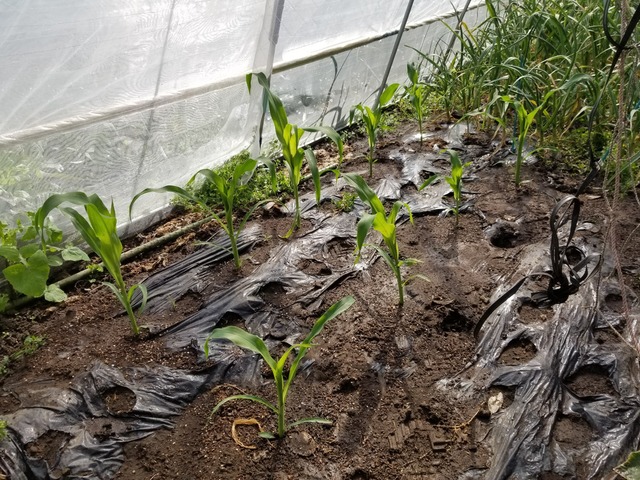 20230427_144359_copy_2016x1512