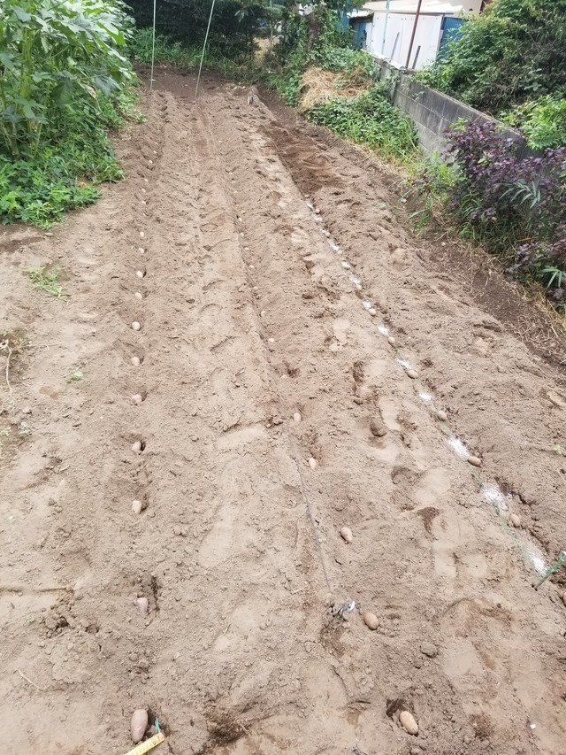 20220829_142321_copy_1512x2016