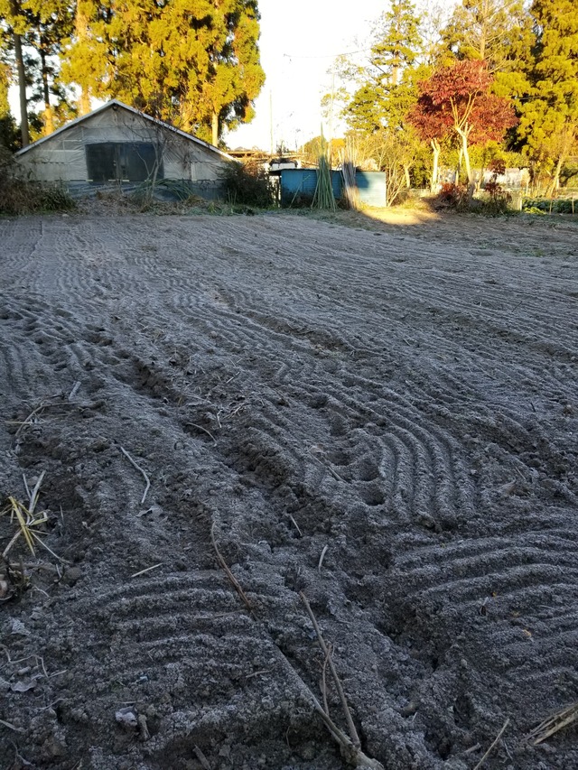 20201216_072746_copy_2268x3024