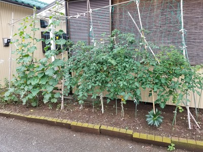 20190629_170149-2160x1620