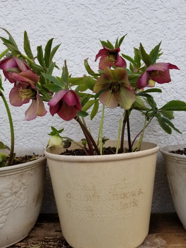 20230304_161628_copy_1209x1612