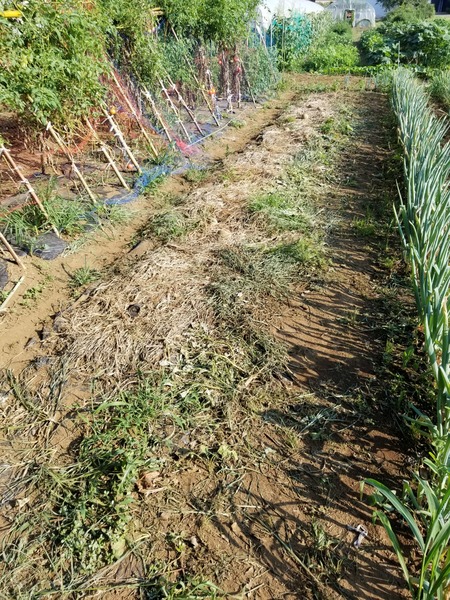 20190803_160259-1620x2160