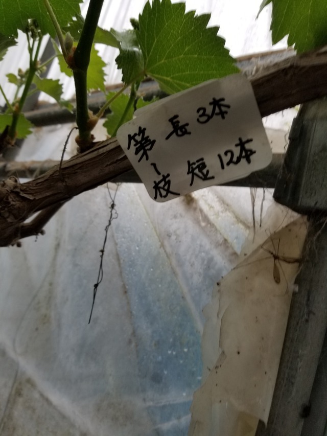 20210414_074014_copy_2268x3024