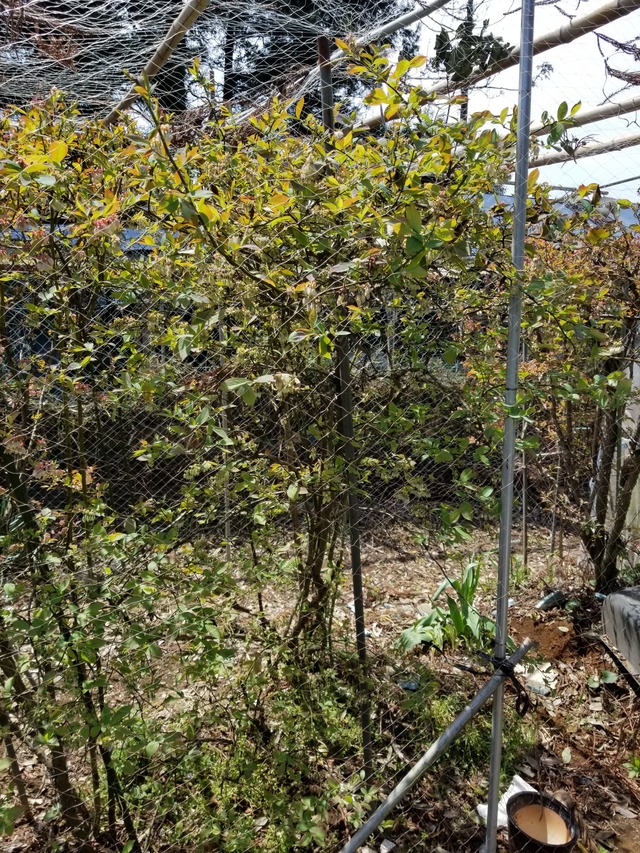 20240413_111122_copy_2268x3024