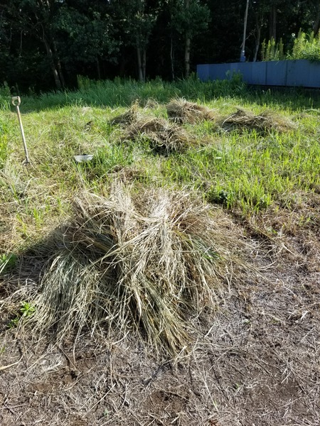 20190907_080159-1620x2160