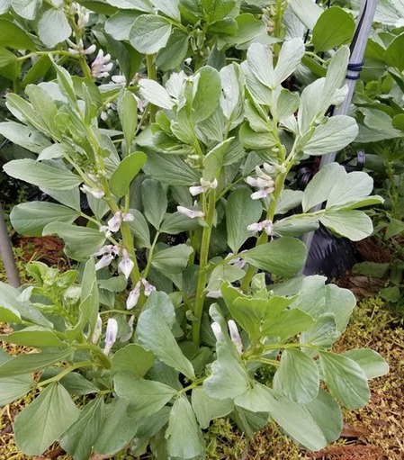 20190408_082820-1200x1600