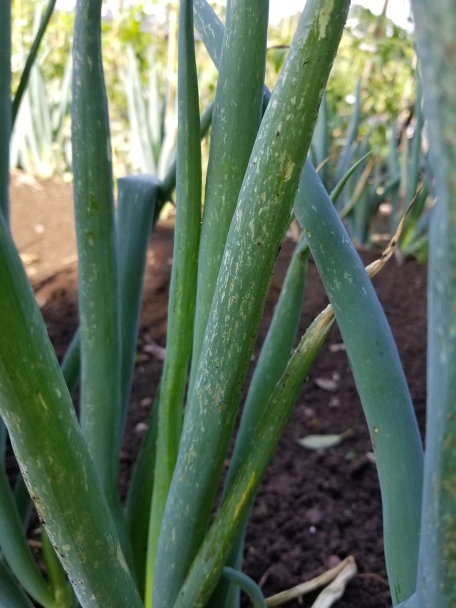 20230601_084828_copy_1512x2016