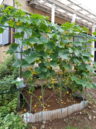 20190629_165957-1620x2160