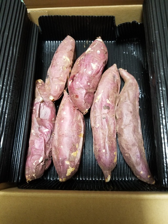 20221027_052908_copy_1209x1612