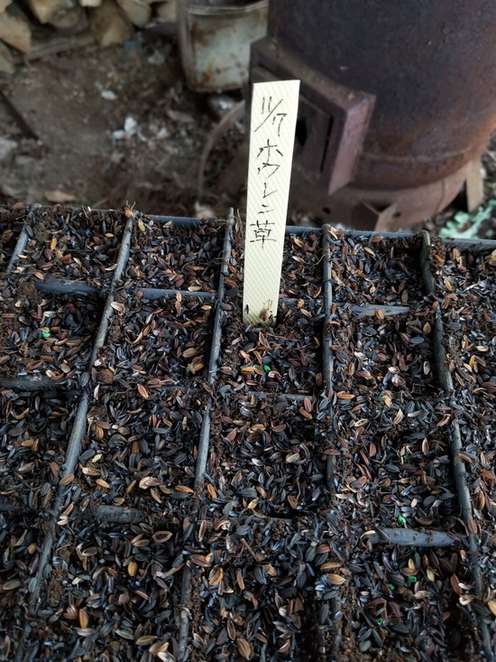 20191107_081457-1620x2160