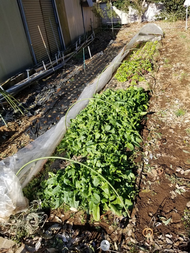 20220223_084934_copy_2268x3024
