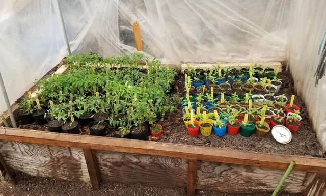 20190330_102614-1365x1024