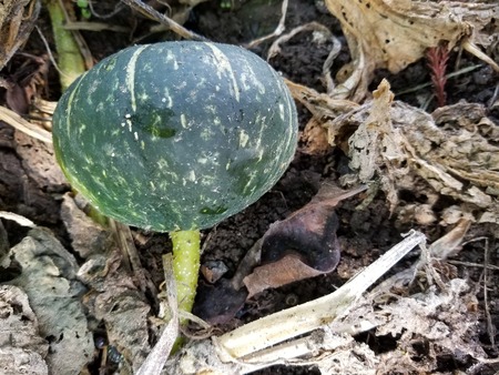 20190925_082339-2160x1620