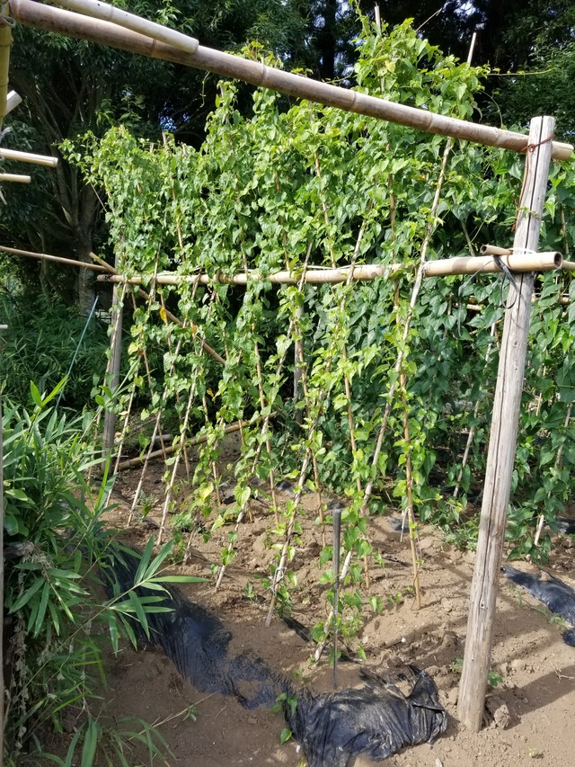 20230721_152847_copy_1512x2016