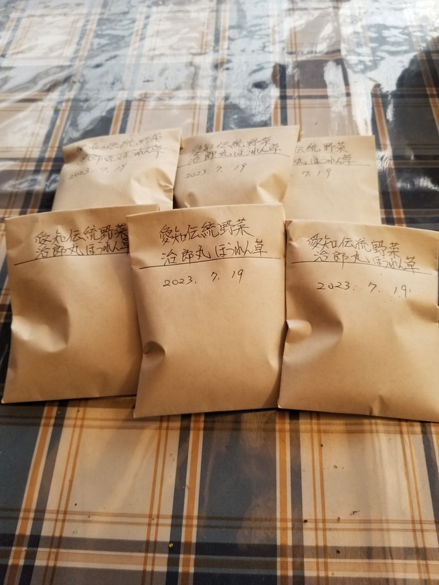 20230719_083844_copy_1512x2016