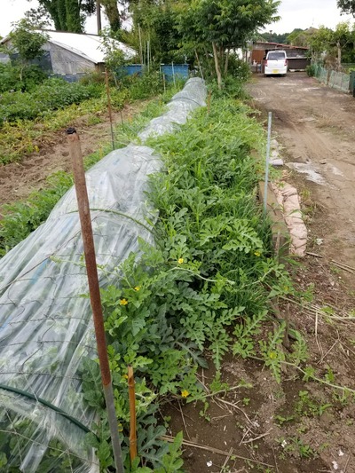 20190627_085739-831x1108