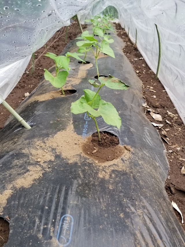 20230430_101557_copy_1512x2016