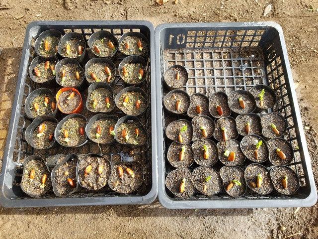 IMG_20231106_103148_DRO_copy_2016x1512