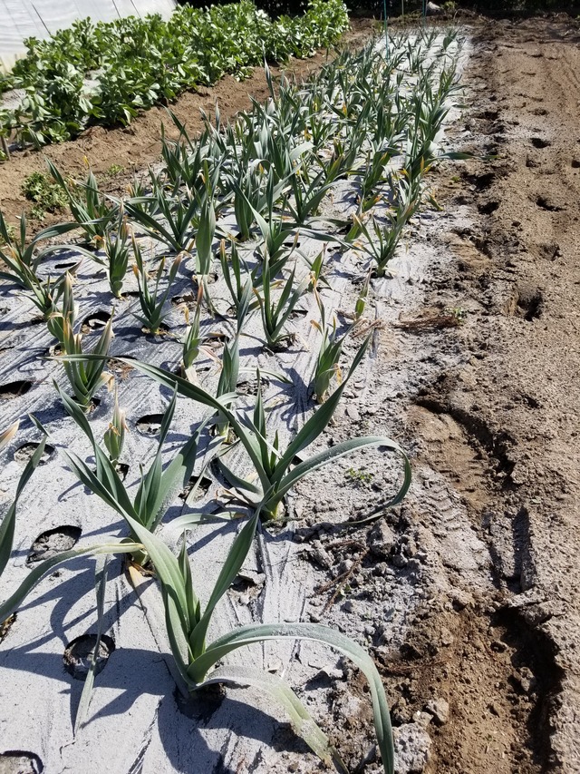 20240315_103944_copy_2268x3024