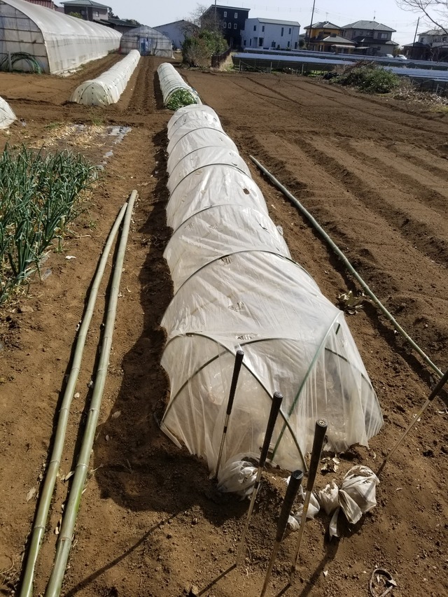 20230311_140051_copy_1209x1612