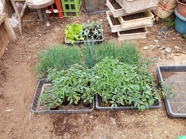 20190408_080909-1600x1200