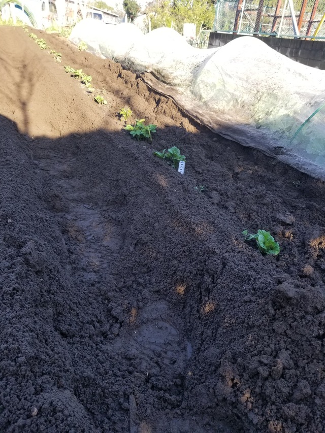 20210323_072738_copy_2268x3024