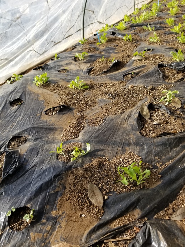 20231217_095129_copy_1512x2016