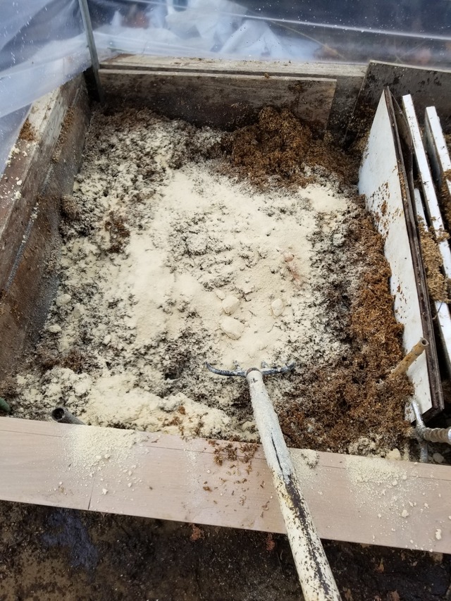 20231220_105710_copy_1512x2016