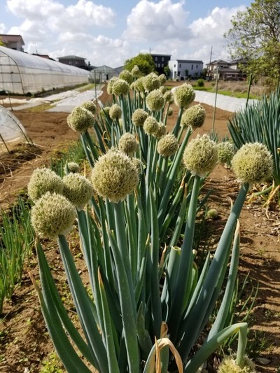 20190517_083039-1620x2160