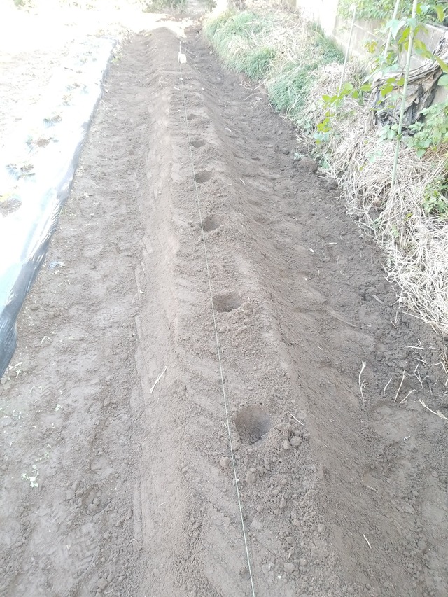 IMG_20231017_142923_copy_1512x2016