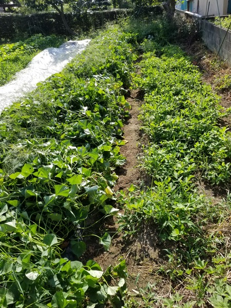 20190806_075902-1620x2160